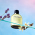 DOLCE & GABBANA POUR HOMME EDT 125 ML