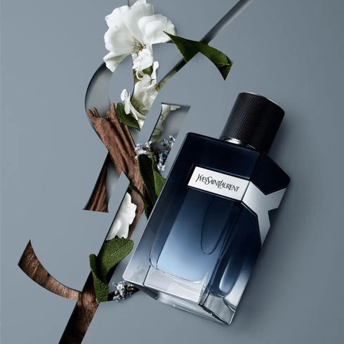 SET TRAVEL Y EDP