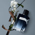 SET TRAVEL Y EDP