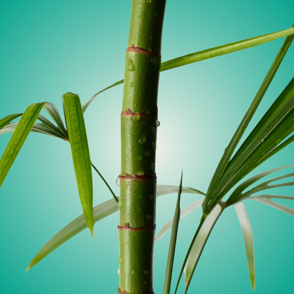 MIGHTY BAMBOO PANTHENOL CREAM 100 ML