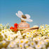 DAISY LOVE EDT 100 ML