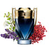 INVICTUS PARFUM 100 ML