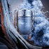 INVICTUS EDT 100 ML