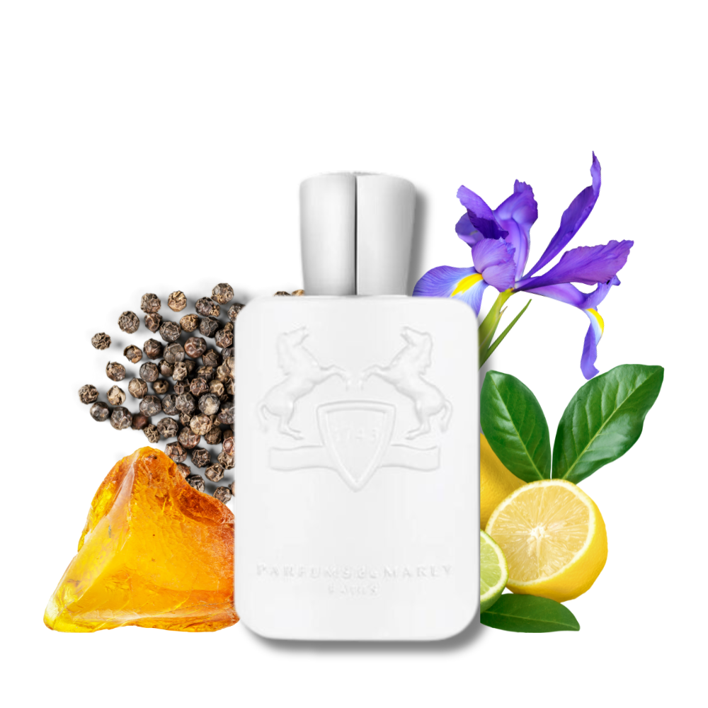 GALLOWAY EDP 125 ML