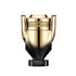 INVICTUS ELIXIR 100 ML