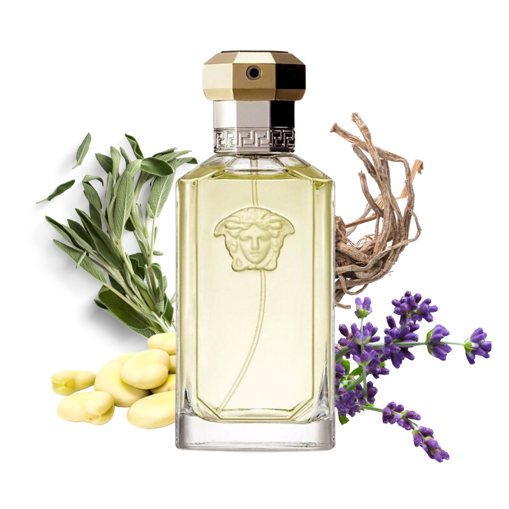 THE DREAMER EDT 100 ML